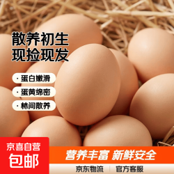 京喜自营-专用品牌 鲜鸡蛋初生蛋月子鸡蛋鲜鸡蛋柴鸡蛋现捡现发月子鸡蛋40-50g±5g 20枚土鸡蛋