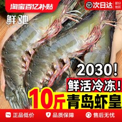 鲜驰 大虾鲜活超大基围虾青岛特大青虾冷冻鲜对虾速冻海虾虾类海鲜水产 1400g 17-20cm