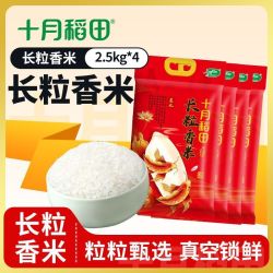 十月稻田 长粒香米2.5kg*4正宗东北大米20斤