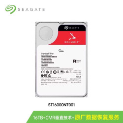 希捷 酷狼IronWolf Pro系列 ST20000NE000 机械硬盘