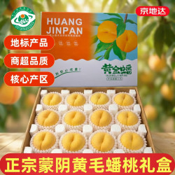 京地达 山东蒙阴黄油蟠桃 净重4.5斤水果礼盒单果130g起蟠桃油桃源头直发 精品黄油蟠桃4.5斤礼盒