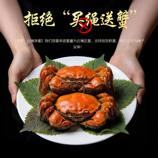 江问鱼 大闸蟹1.8两-2.1两 8只装