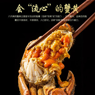 江问鱼 大闸蟹1.8两-2.1两 8只装