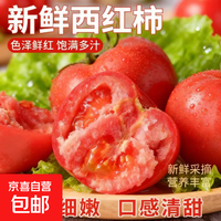 精品大红番茄 1斤