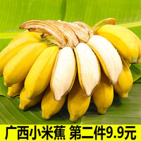果迎鲜 广西小米蕉 新鲜水果 香蕉 净果4.5斤 芭蕉 小香蕉