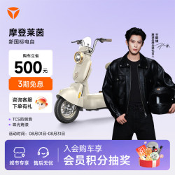 雅迪 智能 电动自行车