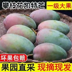集南鲜 金煌芒芒果 当季广西青皮黄皮大芒果新鲜水果甜心芒果整箱盒 净重4.5斤实惠中果（约200g+）