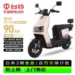 台铃 星河EB 48V30Ah星恒锂电 90KM续航 卡其色 电动自行车
