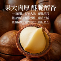 良品铺子 精选奶香夏威夷果 500g*1罐