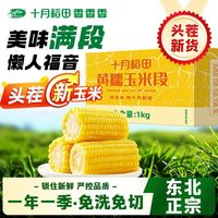 十月稻田 段装东北黄糯玉米黑土孕育地道软糯拉丝早餐2斤