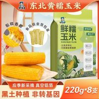 邹有才 东北新黄糯玉米棒220g*8支黄金铝箔装低脂黄糯甜东北黏苞米