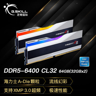 G.SKILL 幻锋戟 DDR5 6400MHz RGB 台式机内存 灯条 科技银 64GB 32GBx2 F5-6400J3239G32GX2-TZ5RS