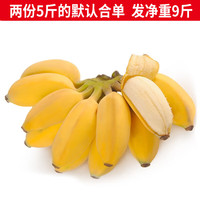 静益乐源 广西小米蕉  5斤