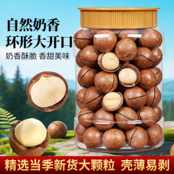 2026夏威夷果 新货奶油味坚果零食 大颗粒500g*1罐