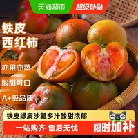 88VIP：京运达 正宗丹东铁皮西红柿东北新鲜绿腚水果番茄碱地草莓柿子 1斤*1箱