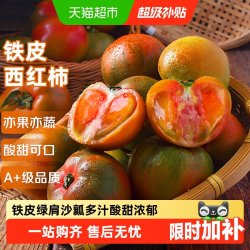 京运达 正宗丹东铁皮西红柿东北新鲜绿腚水果番茄碱地草莓柿子 1斤*1箱