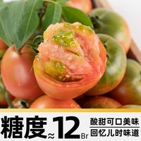国家补贴、88VIP：京运达 丹东铁皮柿子西红柿新鲜采摘皮薄肉嫩果香怡人入口清脆爽口 1斤*1箱