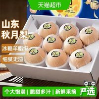 寻天果蔬 正宗山东秋月梨新鲜梨子当季送礼阳莱雪梨冰糖梨整箱 2.7斤