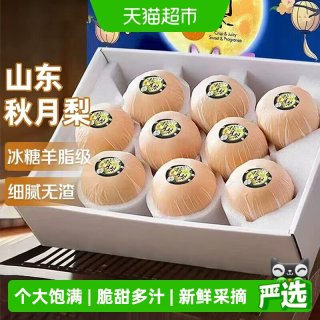 寻天果蔬 山东秋月梨