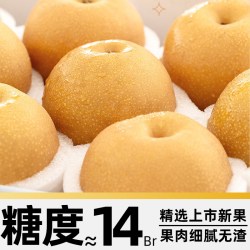 寻天果蔬 秋月梨正宗山东新鲜阳莱梨子羊脂级大果时令正品水果