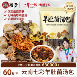 甄菌子 松茸羊肚菌汤包60g野生无熏硫云南特产七彩山珍菌菇煲汤火锅食材