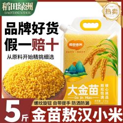 稻田绿洲 大金苗K1赤峰黄小米 2.5kg