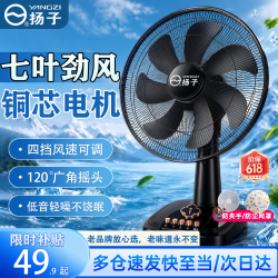 扬子（YAIR）电风扇台式家用风扇床上宿舍学生轻音摇头台扇大风力17英寸电扇定时办公室台立式小