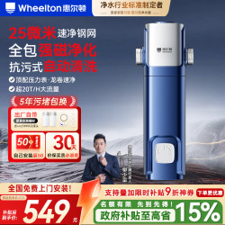 WHEELTON 前置过滤器自动清洗超20T大通量不锈钢防冻防爆25微米全屋家用净水器滤水器