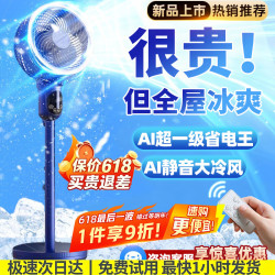 Niye 电风扇卧室超静音一级能效风扇制冷空调扇落地扇空气循