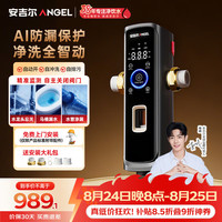安吉尔 前置过滤器D3叠片家用防爆25微米精滤15T大通量AI自动感应冲洗J3625-SDG-5000