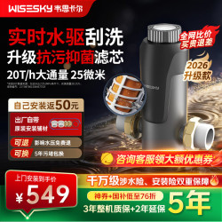 韦思卡尔 前置过滤器85T水驱款半自动款家用全屋净水器实测20吨/时大流量上门安装