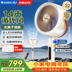 格力 电风扇家用空气循环扇智能语音遥控落地扇负离子直流变频电扇节能静音摇头换气扇 FXDZ