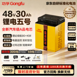 功孚 48V30Ah 锂电池 电动车电瓶