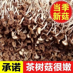 丞悦 茶树菇干货新货净重古田不开伞鲜嫩农家茶薪菇无硫熏香菇