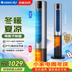 格力 电风扇家用冷暖两用塔扇无叶落地扇客厅卧室静音空气循环大风量电扇等离子除菌WiFi款