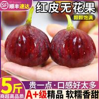 壹萌果蔬 云南红皮无花果3斤7A精品特大果