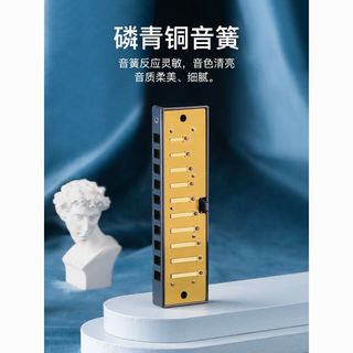 SWAN天鹅 10孔C调布鲁斯口琴