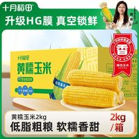 百亿补贴：十月稻田 黄糯玉米2kg低脂粗粮早餐真空东北