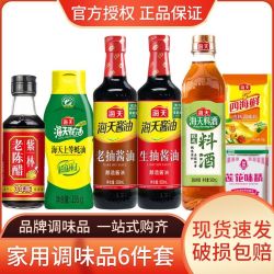 海天 调料组合套装海天生抽老抽酱油蚝油陈醋料酒鸡精调味品