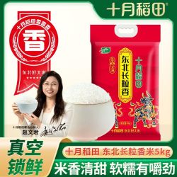 十月稻田 长粒香米 东北香米 5kg