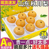 粤迎 山东秋月梨冰糖脆甜梨新鲜采摘水果送人整箱 5斤甄选果净4.52斤