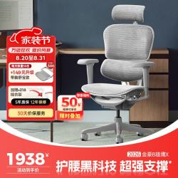Ergonor 金豪B 2代 人体工学电脑椅 银白色 美国网款
