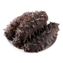 典品堂 金汤鲍鱼花胶礼盒 即食海参10根 （8cm左右）