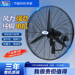 德通普风工业强力风扇挂墙扇壁挂扇商用牛角扇壁扇除甲醛 普风挂墙式DFP750-TA（ 220V 30寸）