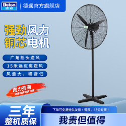 德通绿标工业风扇DF落地式大风扇低噪音立式可摇头工业落地扇 绿标DF750-T（220V 30寸）