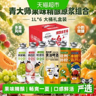 qingdashi 果味精酿啤酒1L*6桶六重风味口感鲜活泡沫丰富小酌优选聚餐