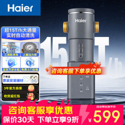 海尔 前置过滤器超15T大通量家用全屋自来水过滤净水器40微米全自动反冲洗