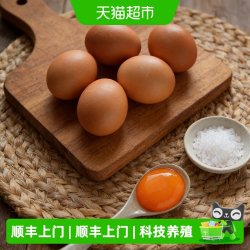朝一 可生食无菌鸡蛋 40枚