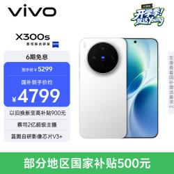 vivo X300s 5G手机 12GB+256GB 银白