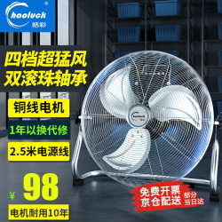 京喜 皓彩（haoluck） 工业风扇趴地扇家用强力电风扇落地扇大功率工厂车间工地商用台式坐地